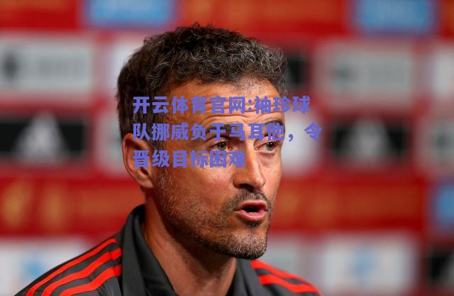 开云体育官网:袖珍球队挪威负于马耳他，令晋级目标困难
